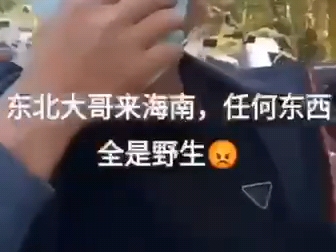 电视家之野生香蕉