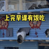 希望这些小流浪们们在这里安稳度过新的一年，平安喜乐