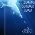 纪录片.塑料海洋.2016[IMDB 7.9][高清][中字]