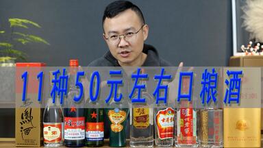 11种国民口粮酒横评，玻汾/绿瓶西凤酒/红星二锅头/泸州老窖头曲/洋河大曲/银剑南/古井贡酒