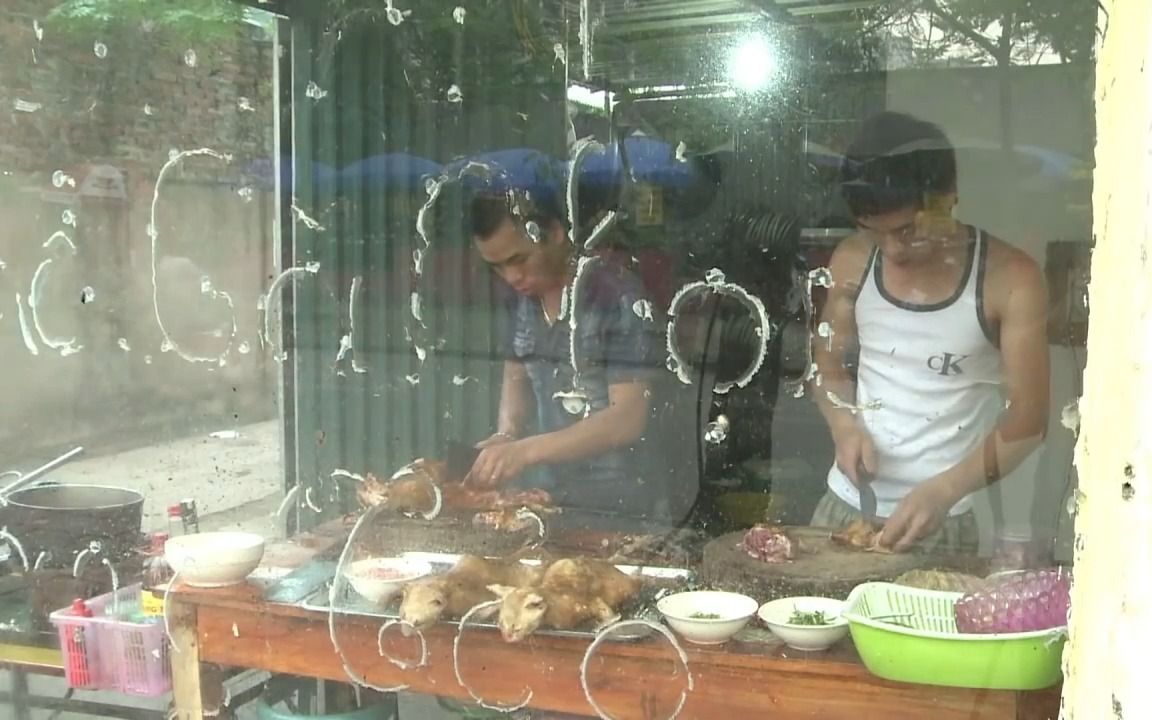 独家揭秘越南猫肉小炒店！饭点勿入！