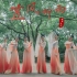 古典舞《笠风听雨》是国画在逃仙女没错了！-【单色舞蹈】(长沙)中国舞