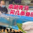 从青岛买三条海鱼回来做生鱼片，会不会还是那个味儿？