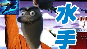亚索海豹表情包出处,只要我e的过快,队友的问号就点不
