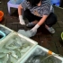广东传统渔港鱼市