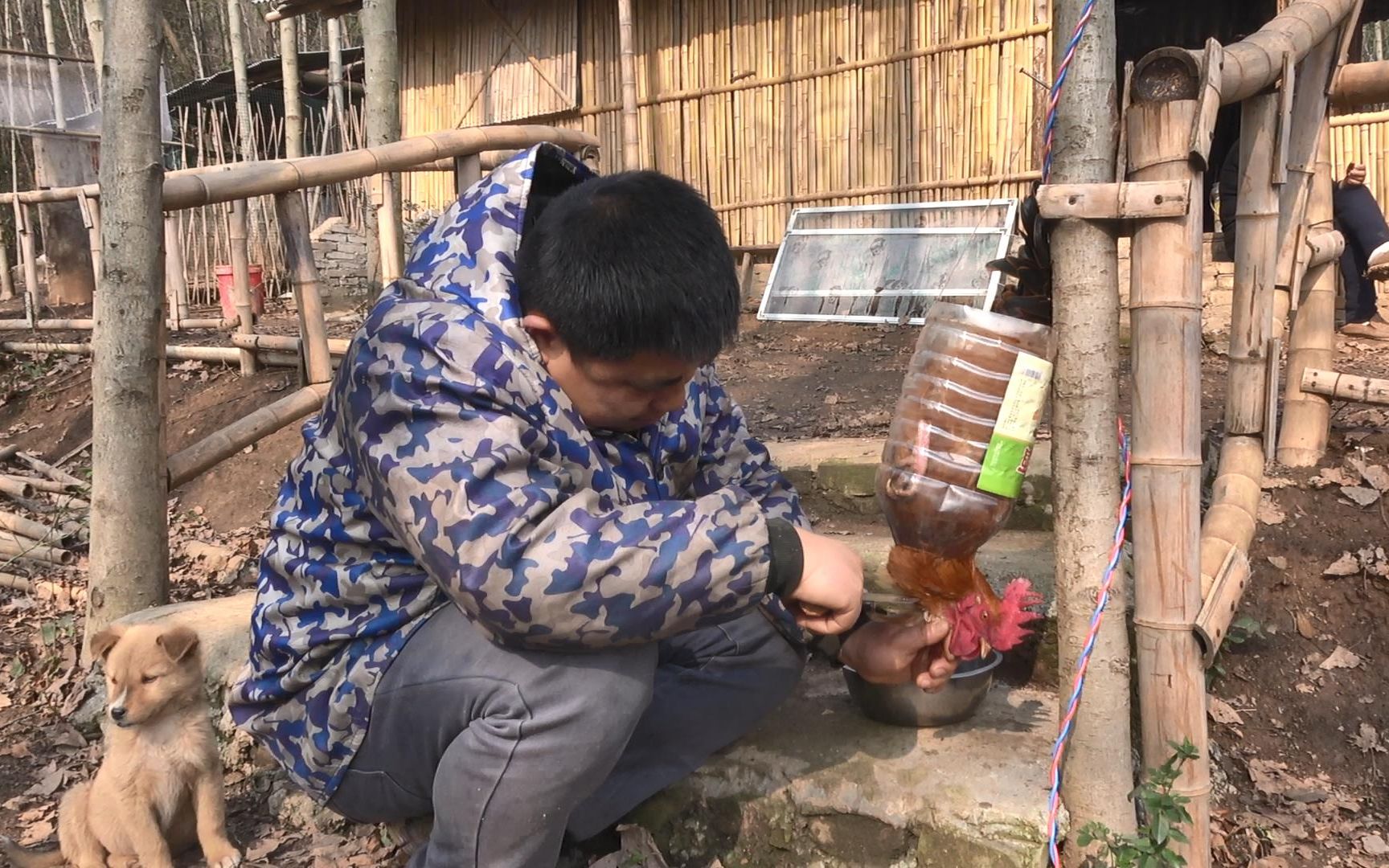 过年杀鸡还要帮手吗用上这个杀鸡神器一个人就搞定太简单了