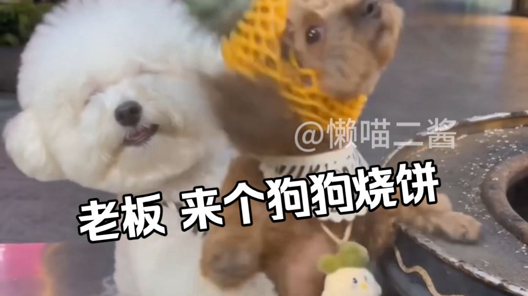 老板，来个狗狗烧饼，菠萝味的