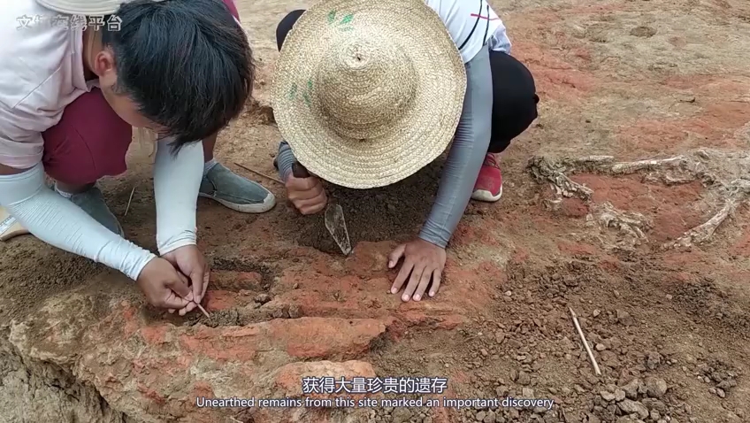 2019十大考古发现:安徽肥西三官庙遗址-哔哩哔哩