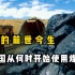 “煤”是何时被发现的？中国从何时开始使用煤？揭秘煤的前世今生