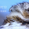 梦醒时分 - 陈淑桦