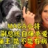 MAGA小将争副总统自爆杀爱狗，懂王：她是不是有病？
