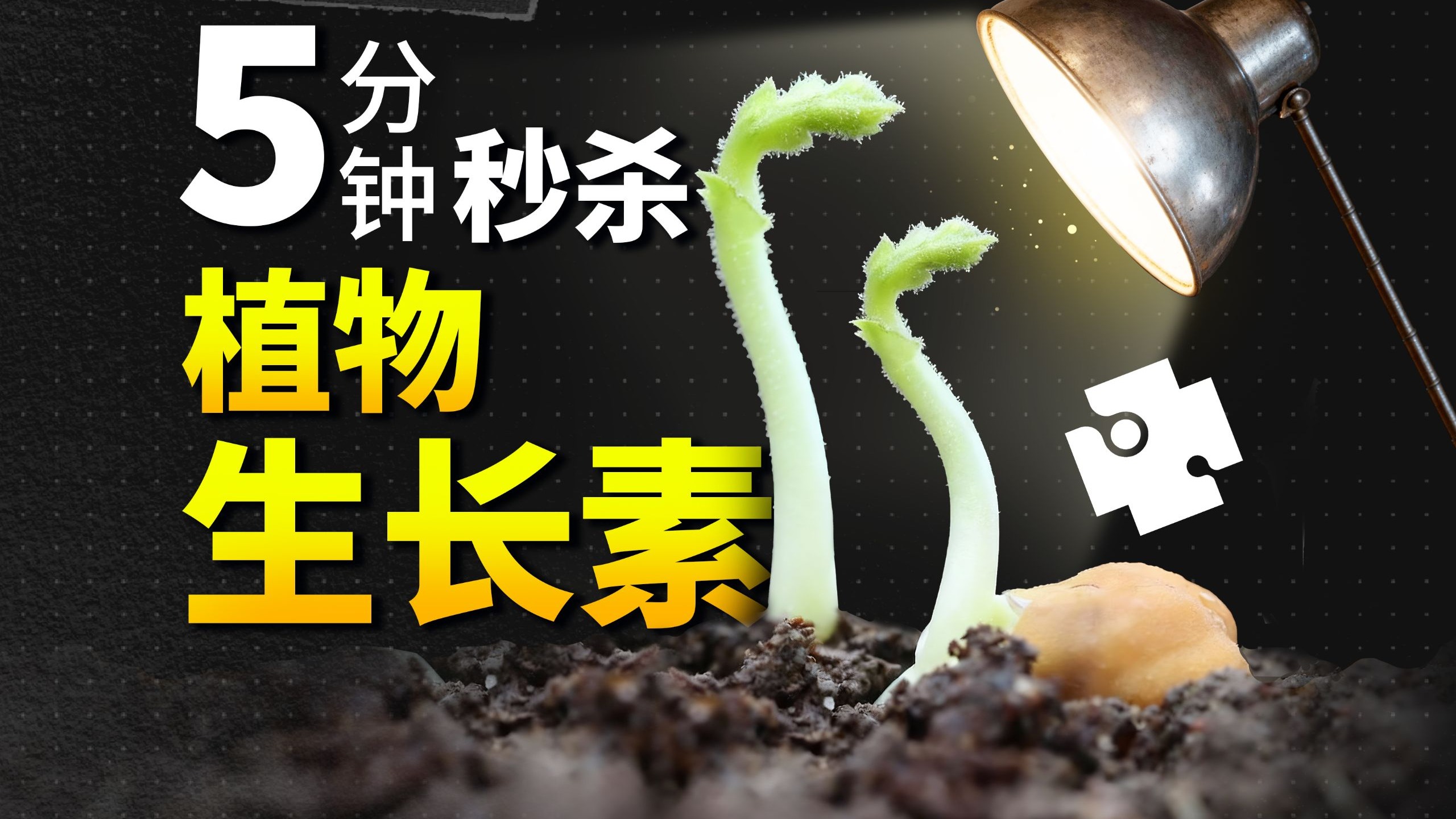 【高中生物选必一重难点】不同因素处理下胚芽鞘生长情况分析