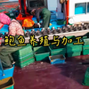 鲍鱼养殖和收获-鲍鱼加工工厂