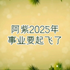 虚拟小说：主角阿紫2025年事业要起飞了！2025年是阿紫极为重要的一年