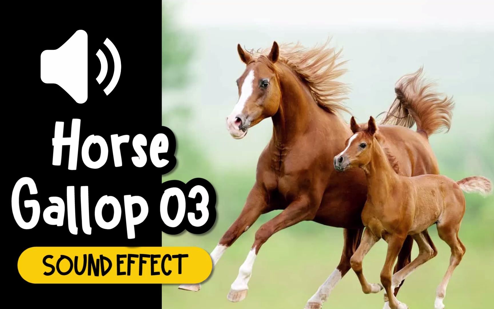 马 奔跑 03 驰骋 蹄哒蹄哒 马蹄 动物 音效 (HQ)