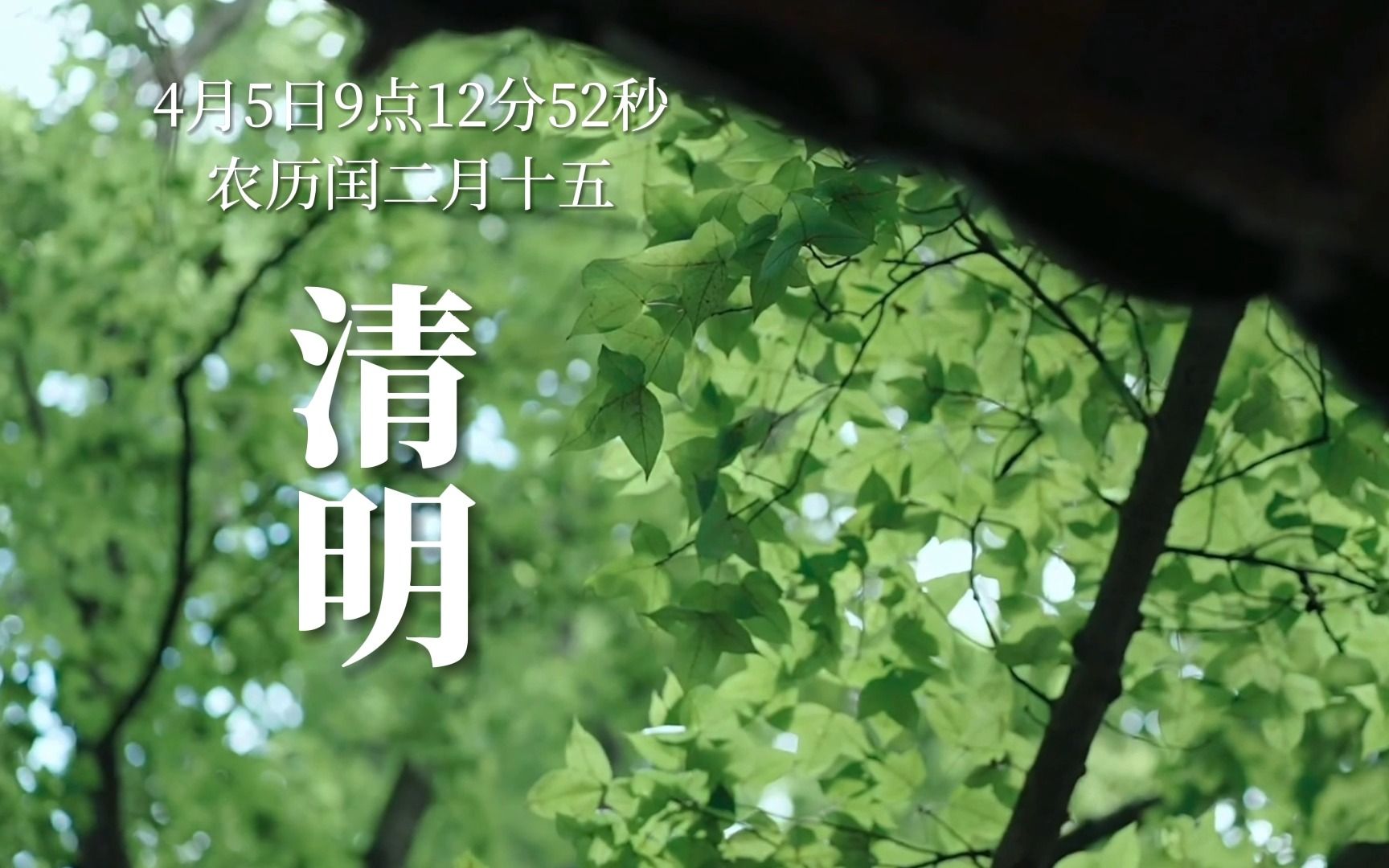 清明｜气清景明 万物皆显