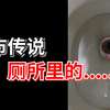 女老师上厕所，发现下面有个人！【福岛女厕藏尸案】都市传说版