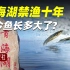 禁渔10年，青海湖里的鱼长到多大了？