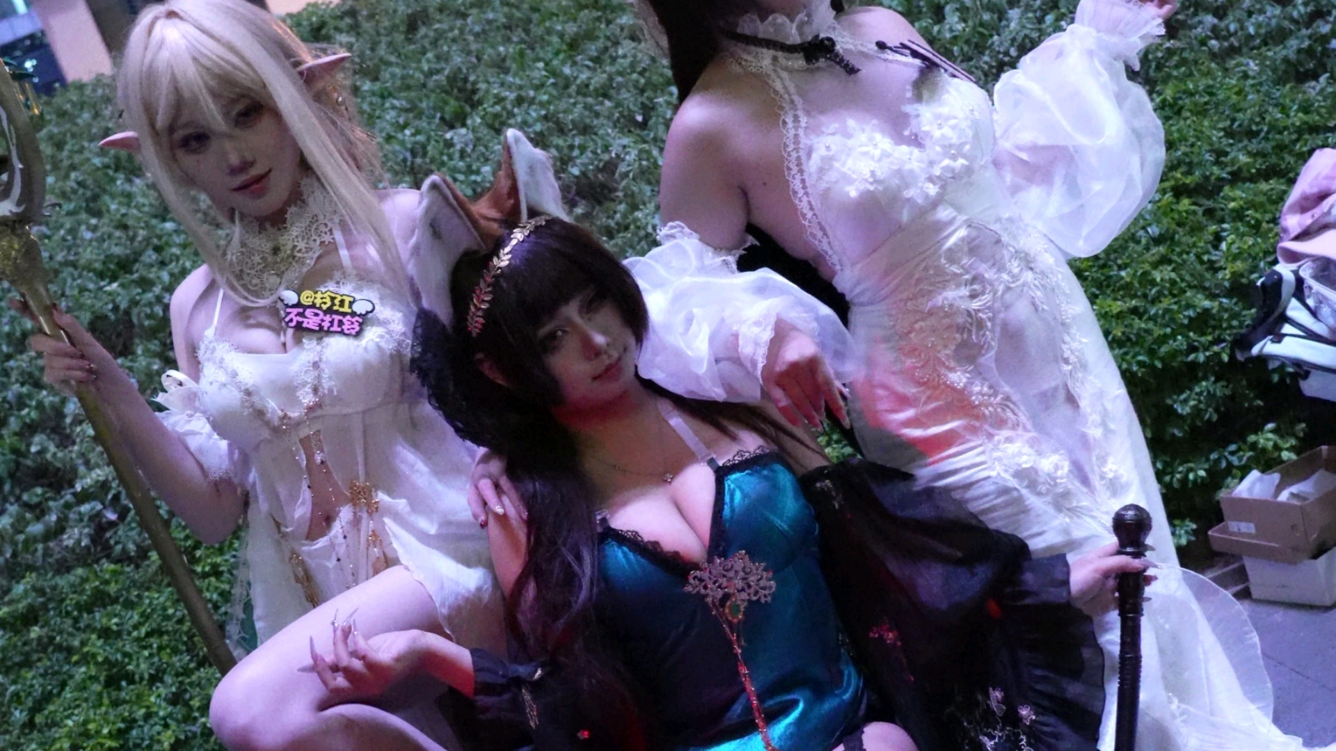 [Ichisei, Nihonbashi, and Tenjo + Golden Lion Cosplay] – The sexy figure sitting there from a bird's-eye view is the center, Dailei