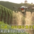 植保无人机，对中国农业有多重要？布局未来农业的好赛道！