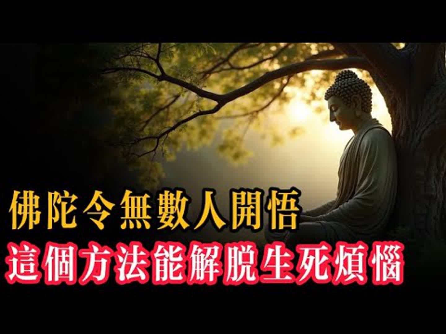 人生有很多苦，如何才能解脫苦難？人生如何才能歡喜自在？看完這個視頻，你一定能找到答案。