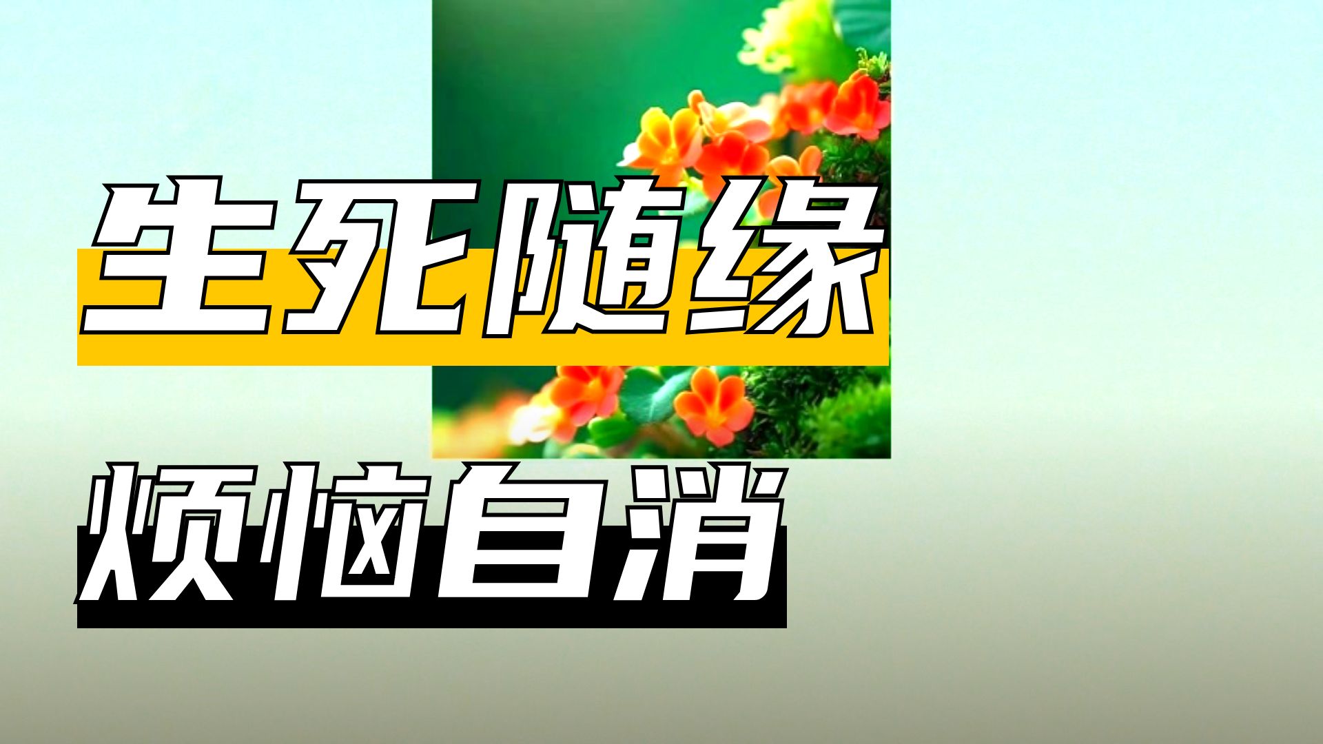 体佛法师开示：妙用身体