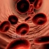 让学生知道红细胞在血管流动动画