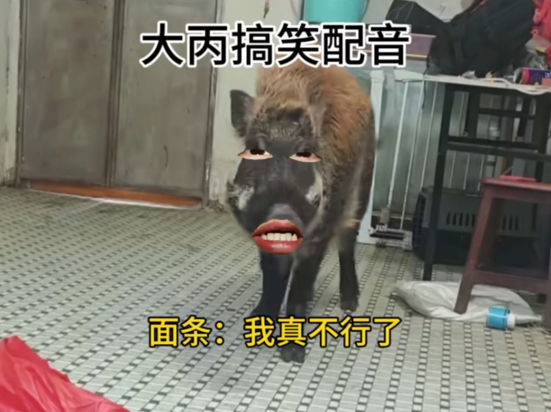 面条：我真不行了