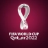 卡塔尔世界杯十佳球