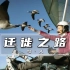纪录片：男人驾驶飞行器，与一群灰雁为伴，只为保护它们成功迁徙