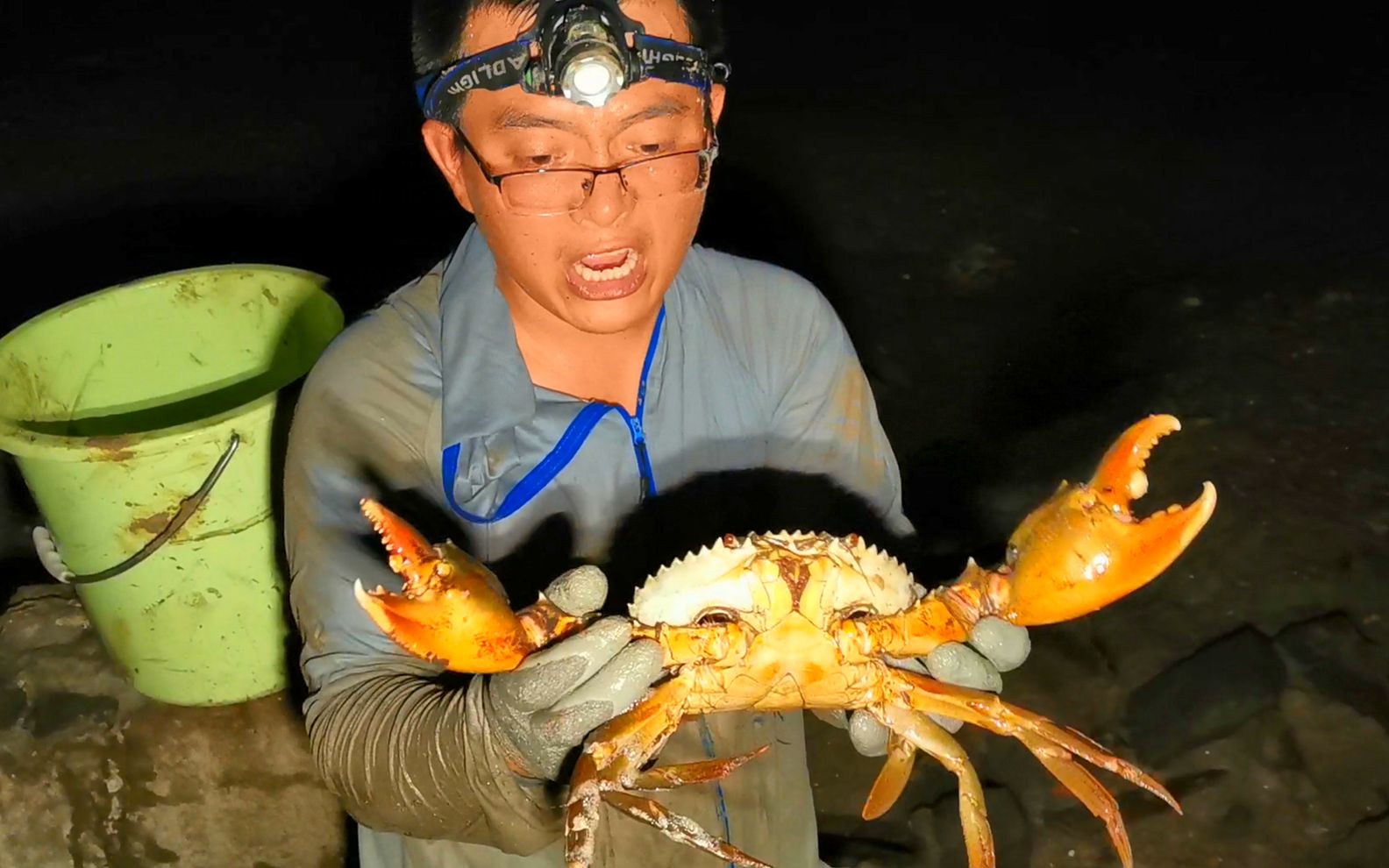 凌晨1点红树林螃蟹没人捡，半斤一个就算小，超巨蟹王算意外之喜