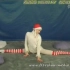 柔术表演—白衣圣诞帽
