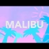 Malibu - Skinz