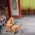 京剧里的火牛是什么样子的？