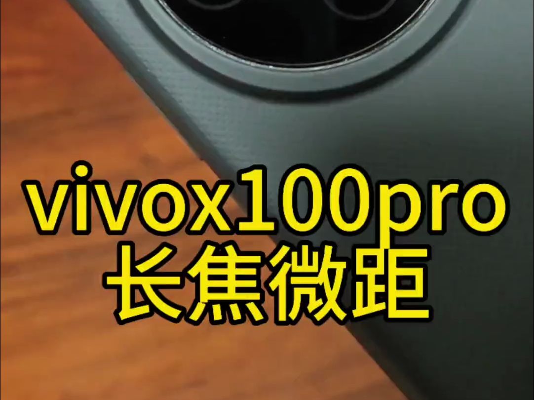 vivox100pro长焦微距拍摄。