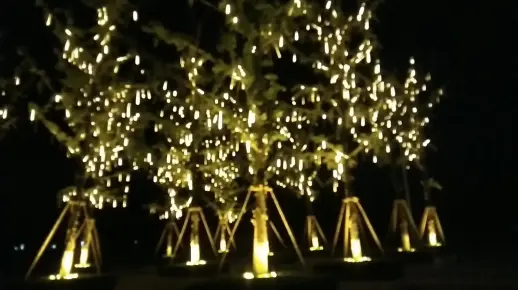火树
