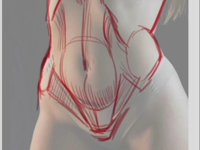 画女性腰腹别照搬男性！核心差异在“肋弓造型”、“腹白线”与“腹隆凸”的柔美衔接！