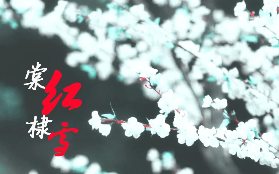 【刺客列传】【全cp群像】棠红棣雪视频在线