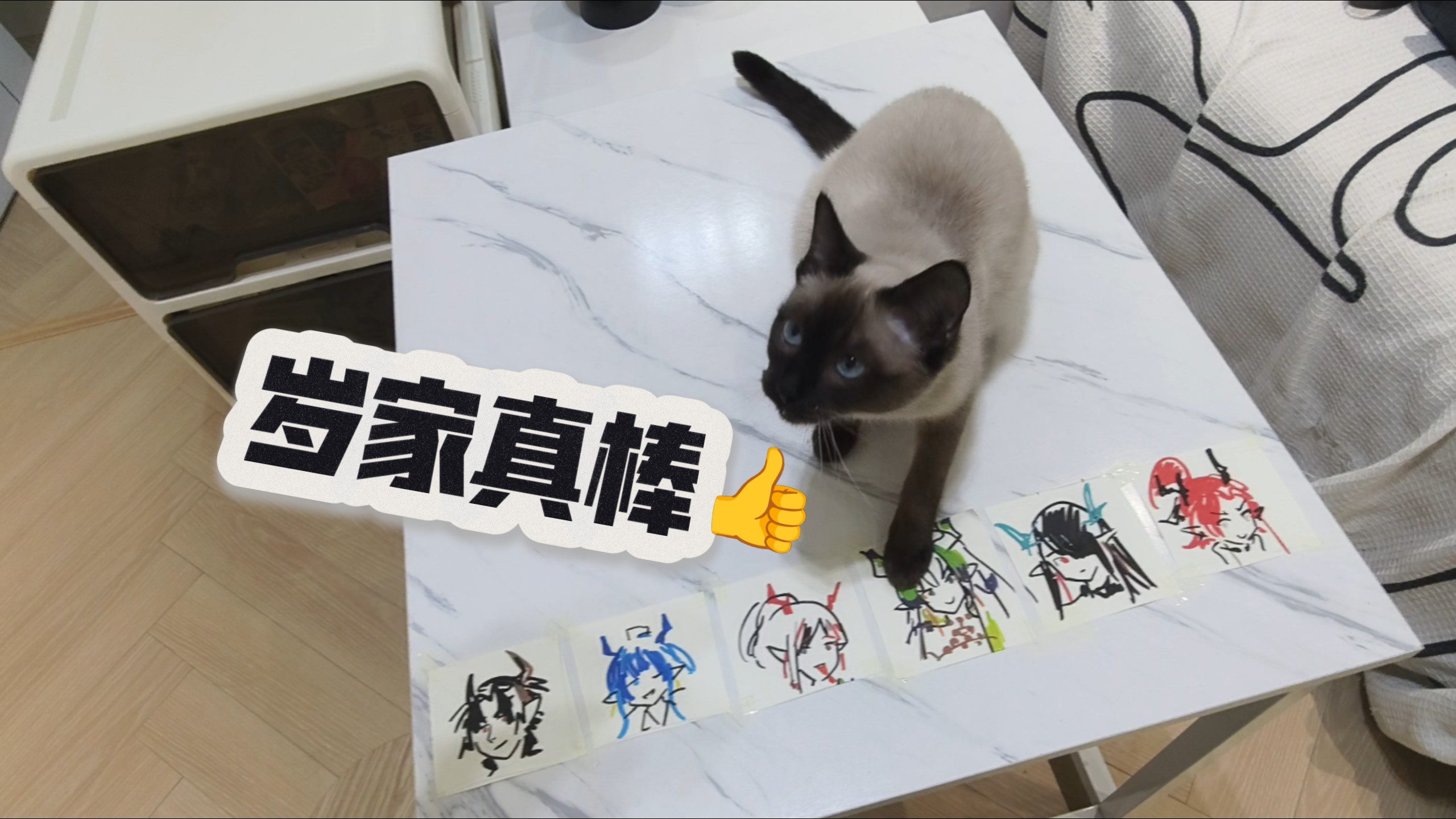岁家真棒！