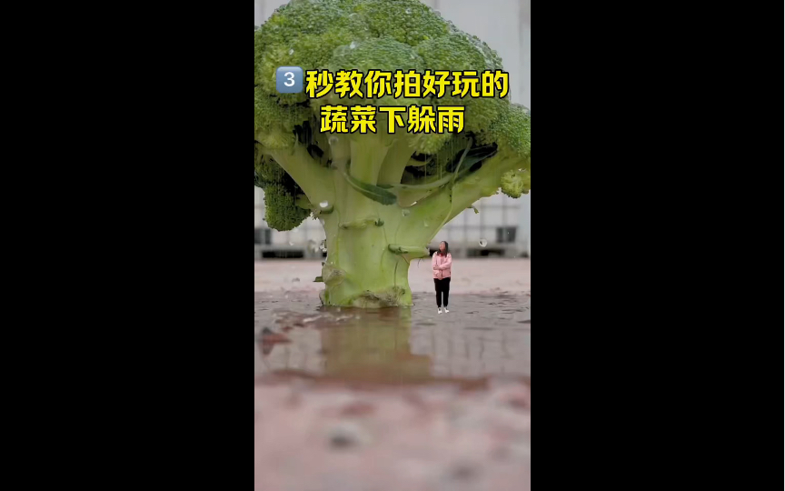 3秒教你拍好玩的西兰花下面躲雨