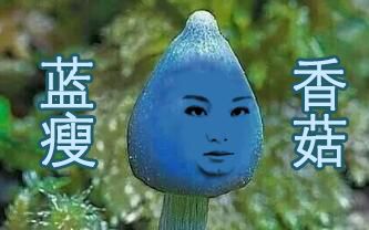 【安蕾尔】-《蓝瘦香菇》蓝瘦~我心里有好多 来自安蕾尔 - 微博