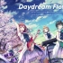 Daystar - Daydream Flowers