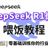 【喂饭教程】30分钟学会DeepSeek R1模型Lora微调训练，环境配置+模型微调+模型部署+效果展示详细教程！草履虫都能学会