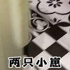 流浪猫妈妈带着孩子前来投奔我了。后续