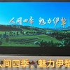 人间四季，魅力伊犁，新疆的好地方