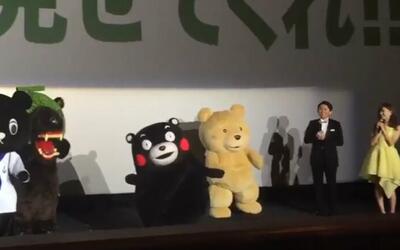 熊本熊与泰迪熊的斗舞,哈密瓜熊客串_明星_娱