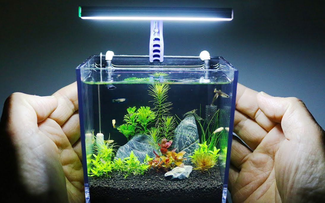 Aquarium‪ 迷你小观赏鱼缸_哔哩哔哩_bilibili