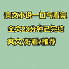（完结文）爽文小说一口气看完系列