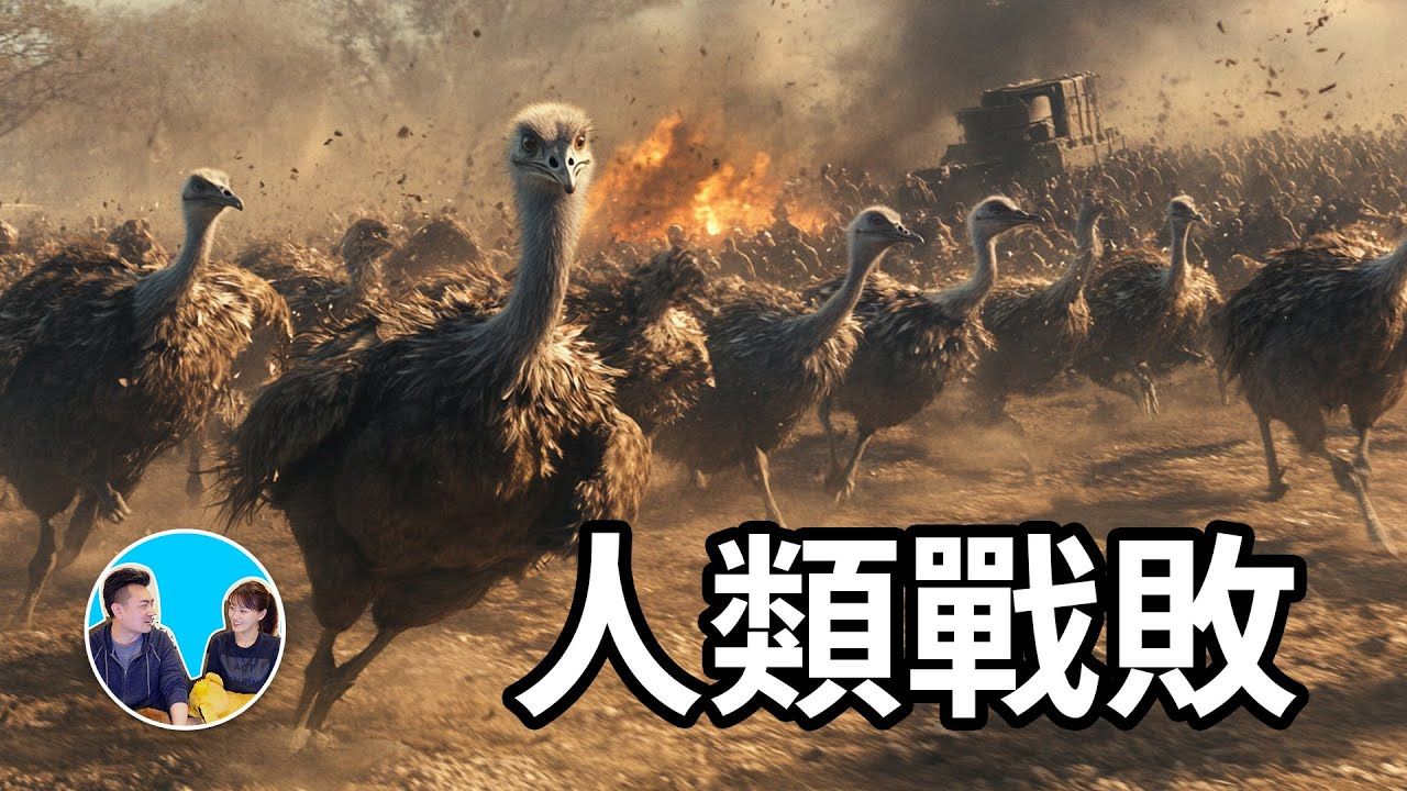 【会员专享】历史上唯一人类与动物的战争，人类输了