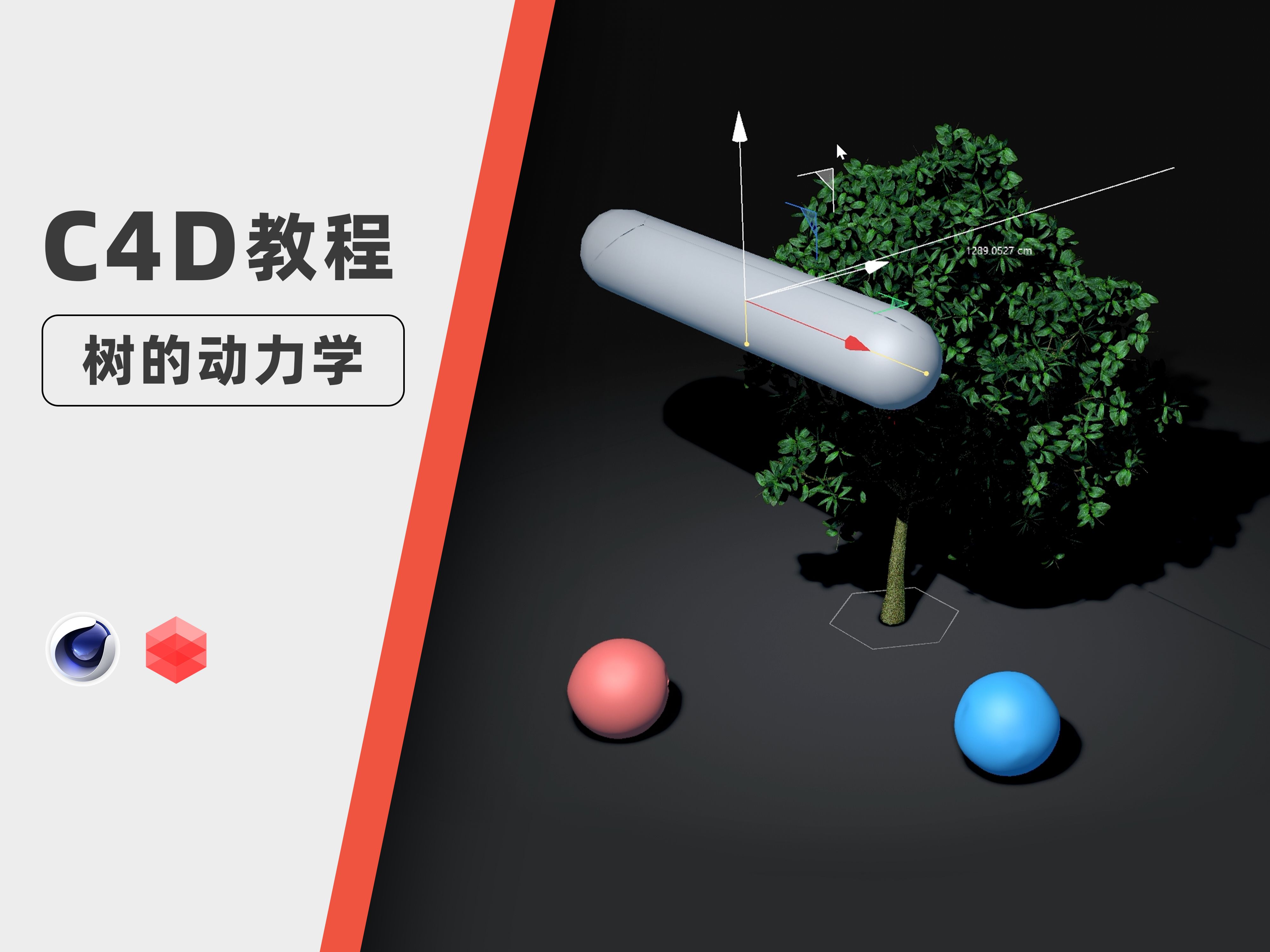 【C4D教程】100%C4D | 树的实时交互动力学